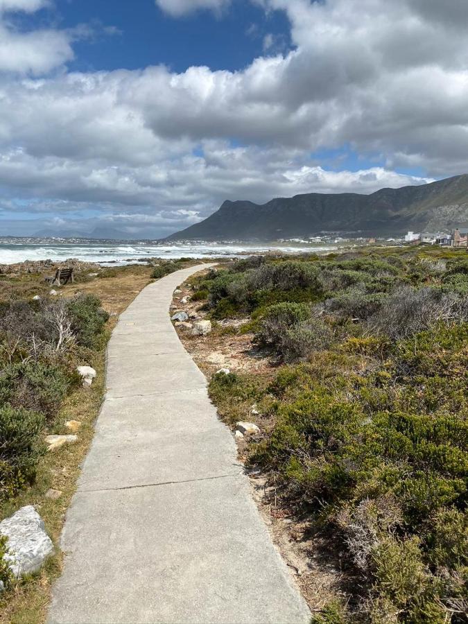 Shore'S Edge Luxury Oceanfront Home Hermanus Kültér fotó